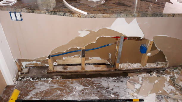 Best Flood restoration services  in Oak Park, MI