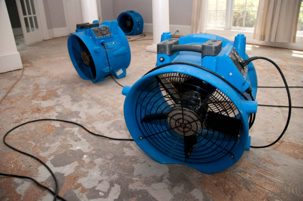 Best 24/7 water damage repair  in Oak Park, MI