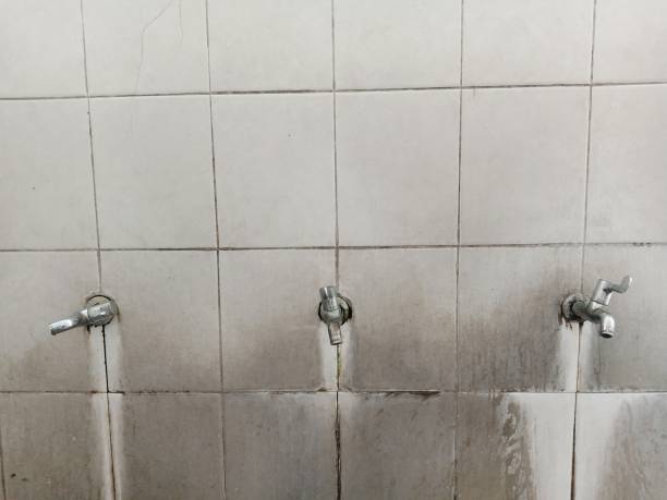 Best Flood damage cleanup  in Oak Park, MI