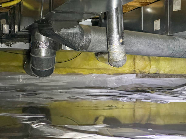 Best Flooded house restoration  in Oak Park, MI