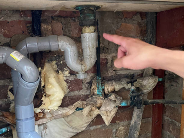 Best Emergency water damage restoration  in Oak Park, MI